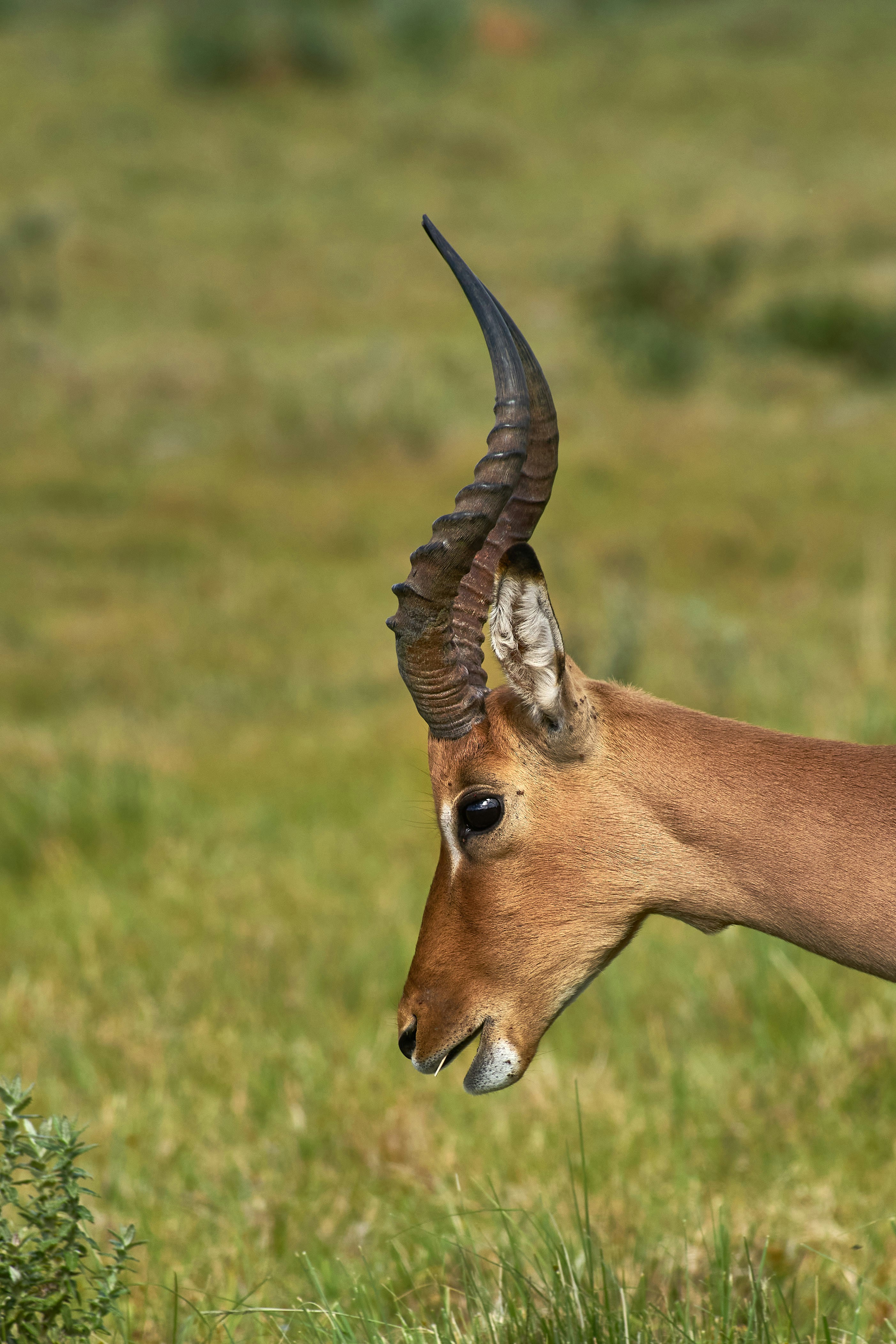 Photo by wolfgang_hasselmann