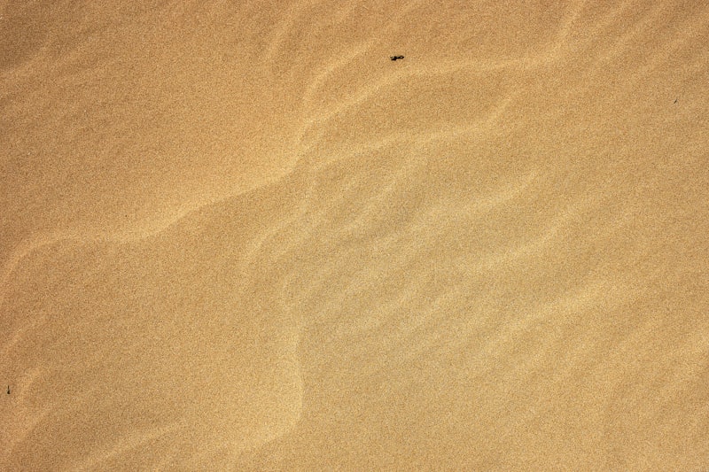 person standing on brown sand