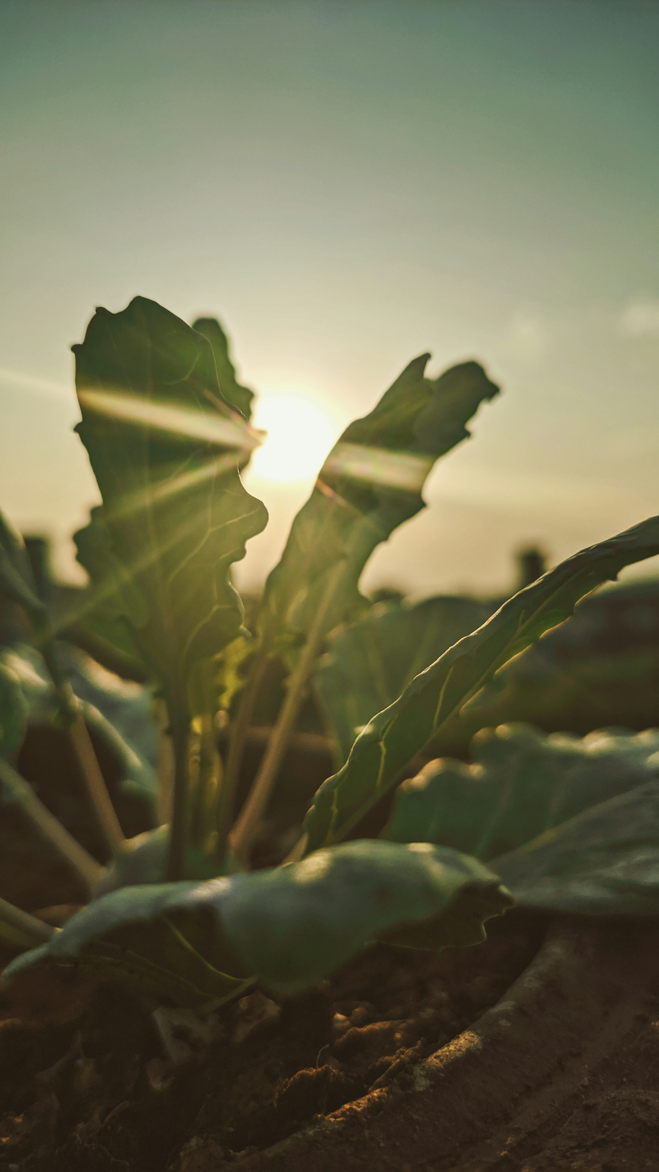 Photo by hemakumar_27