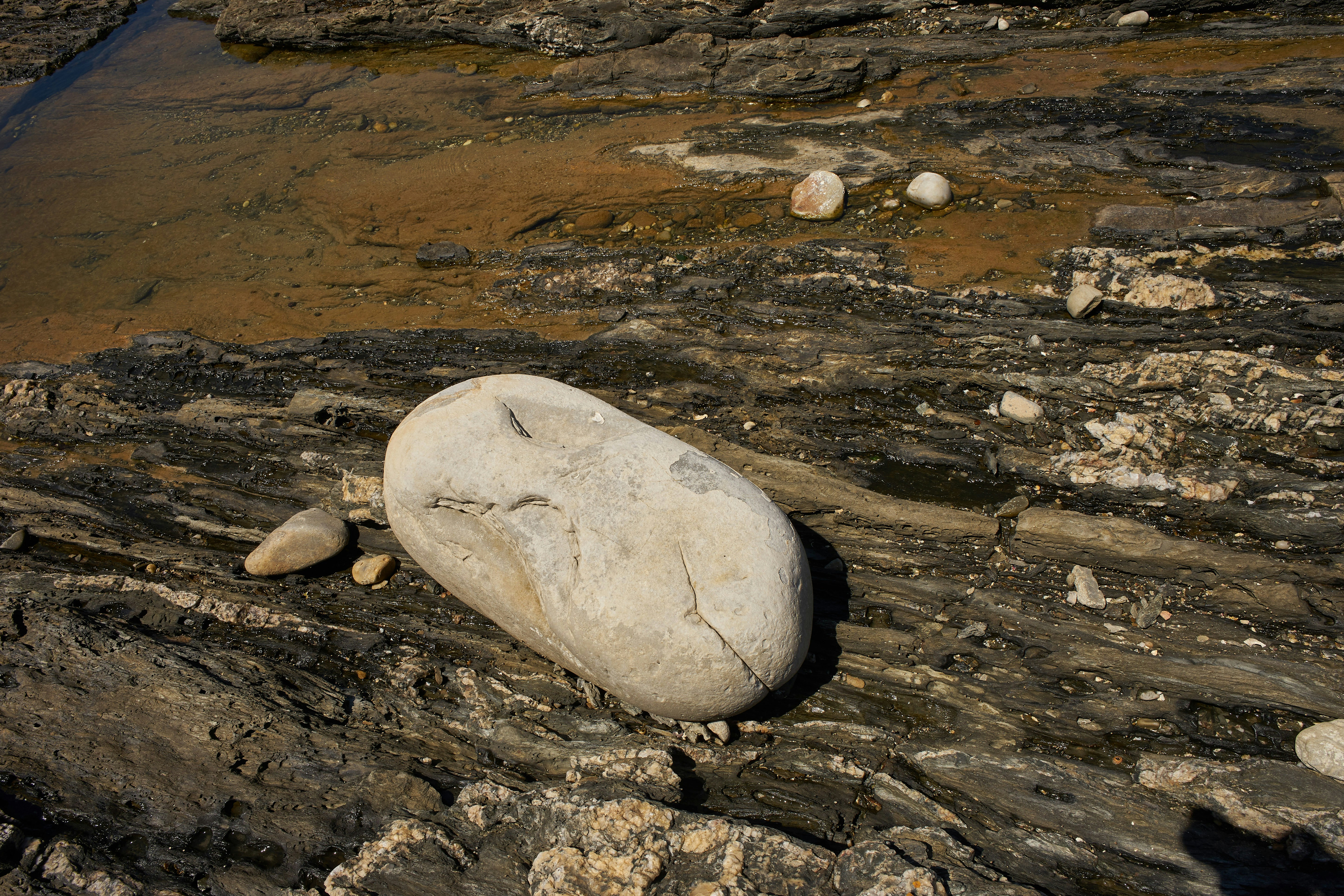 Photo by wolfgang_hasselmann