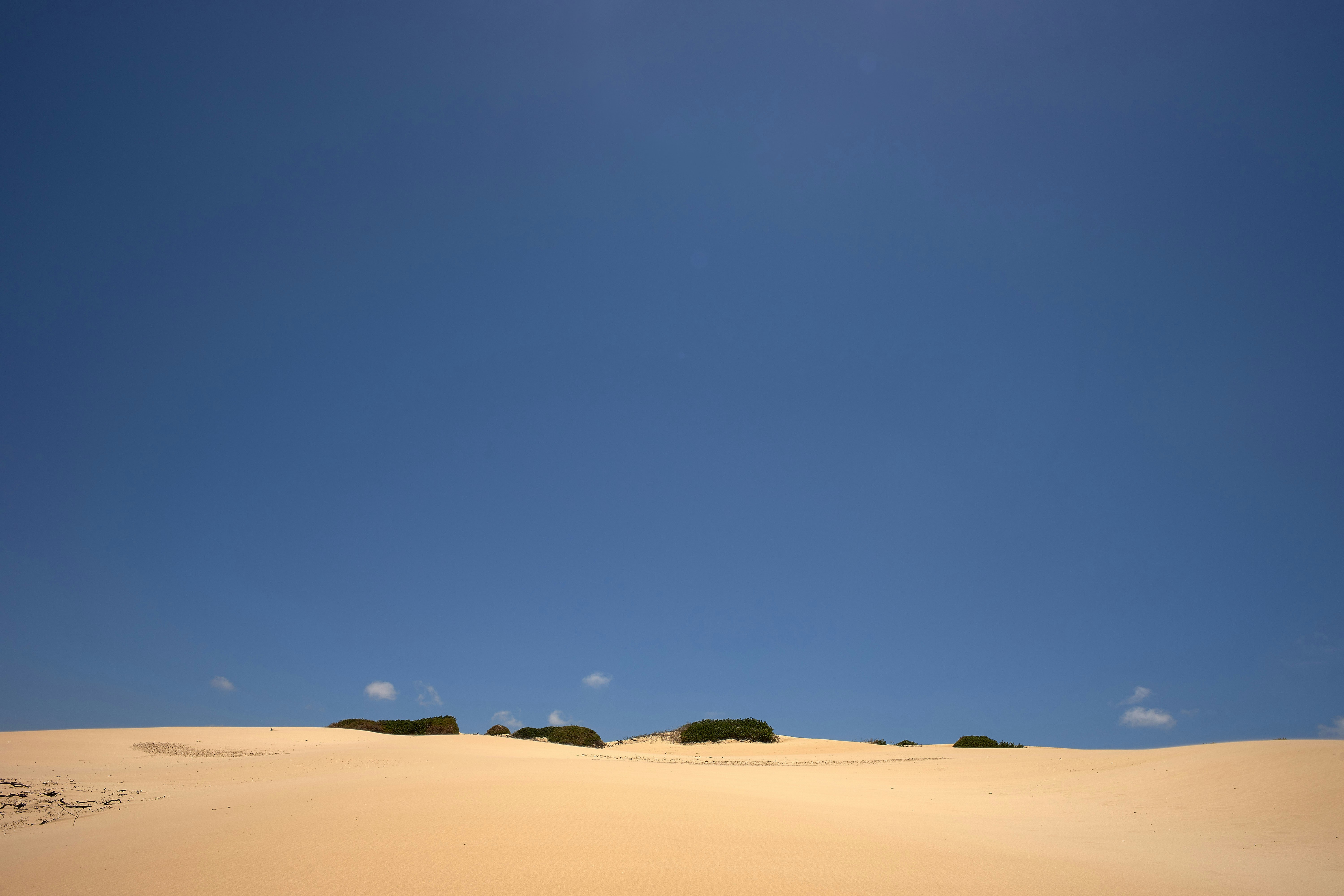 Photo by wolfgang_hasselmann