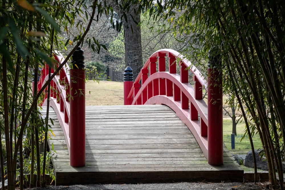 uma ponte vermelha sobre um pequeno lago em um parque