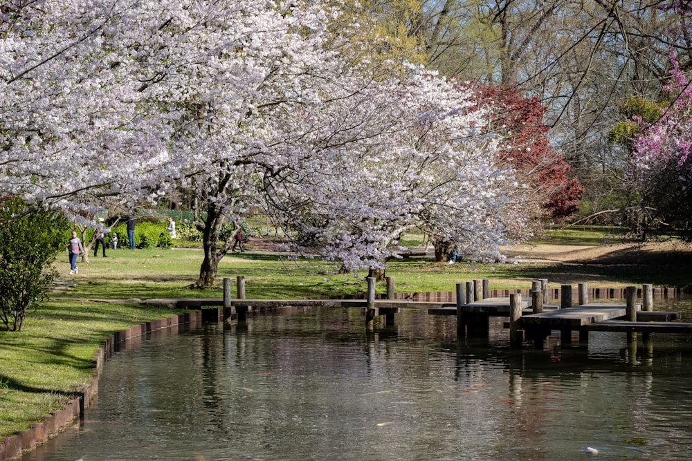 a body of water surrounded by trees and grass