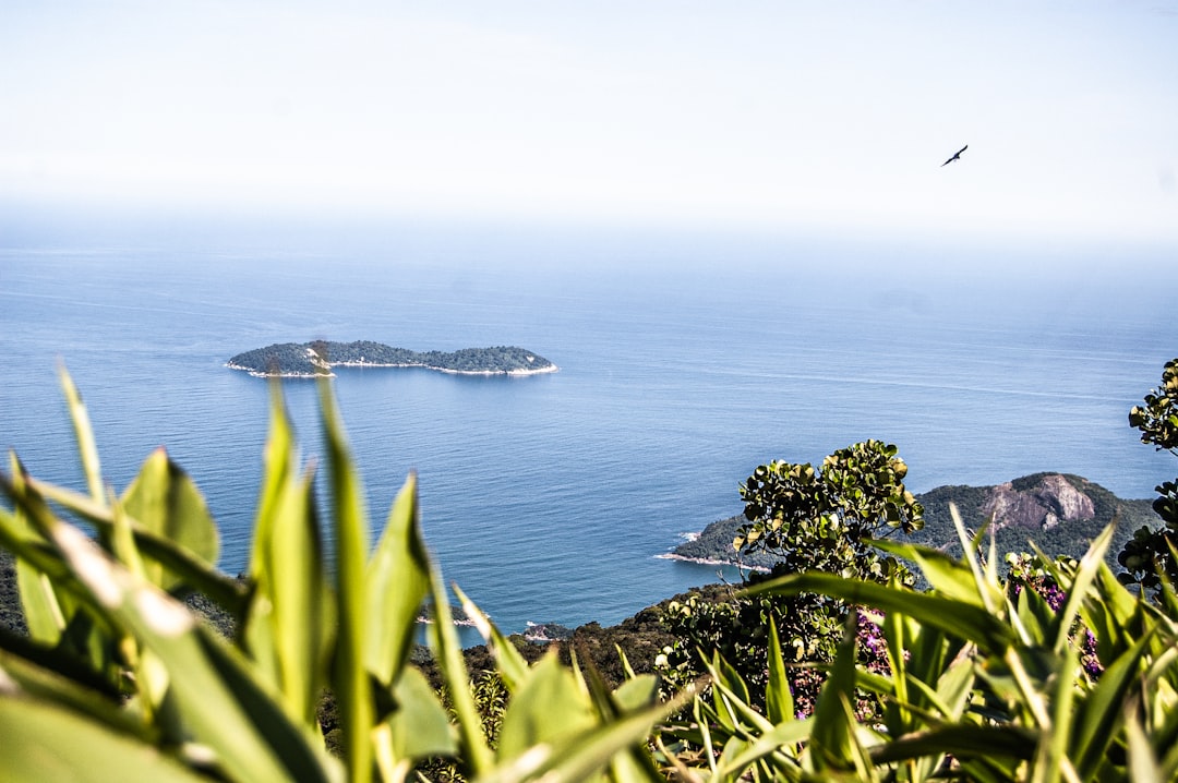 travelers stories about Shore in Ilha Grande, Brasil