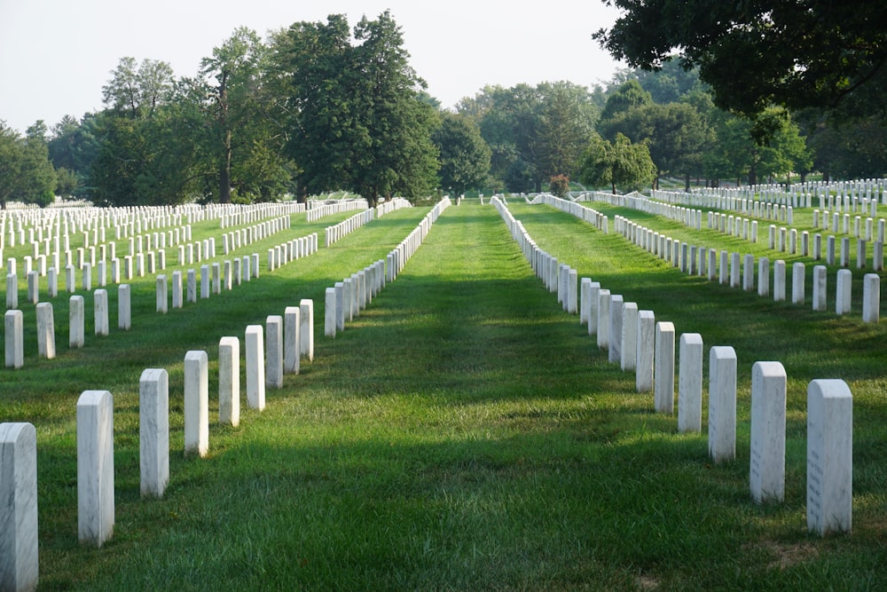 white wooden fence on green grass field during daytime