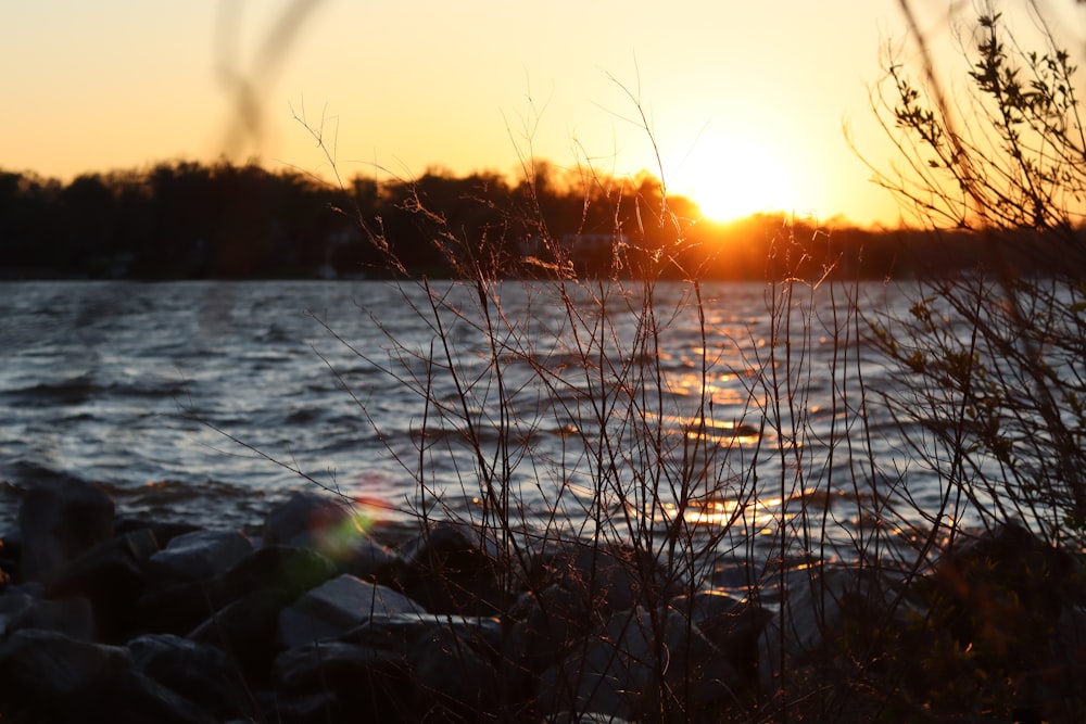 body of water during sunset