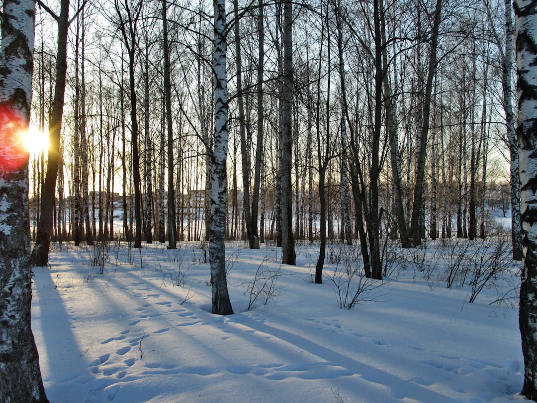 7 Hidden Baltic Winter Gems A