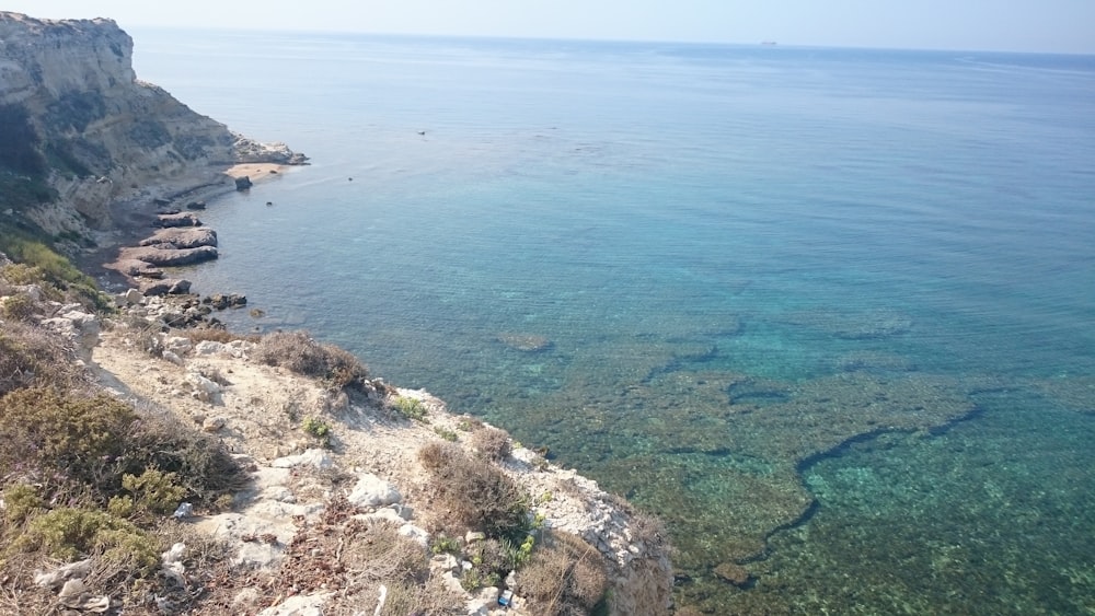 aerial view of body of water during daytime