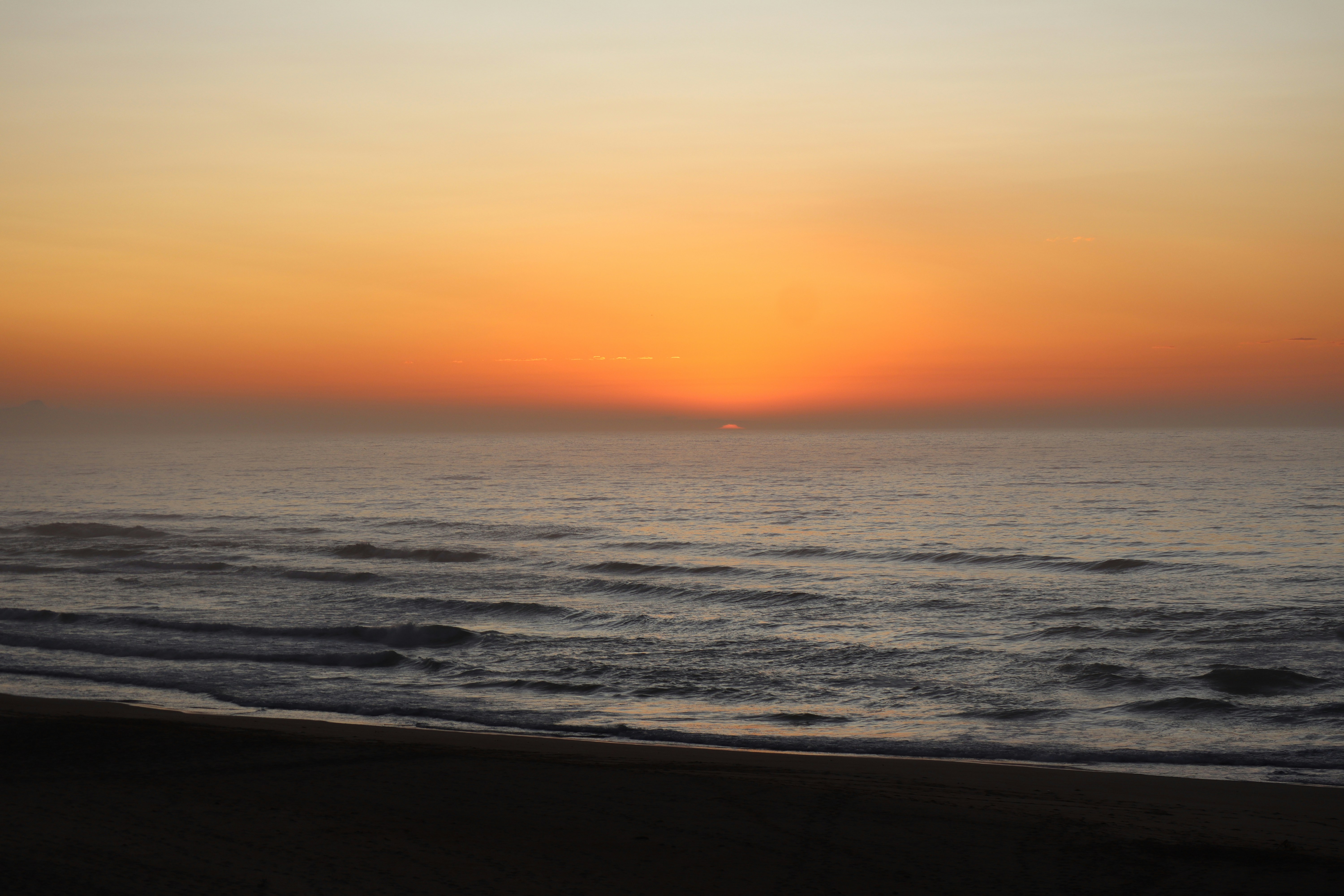 Photo by ranateboni007_