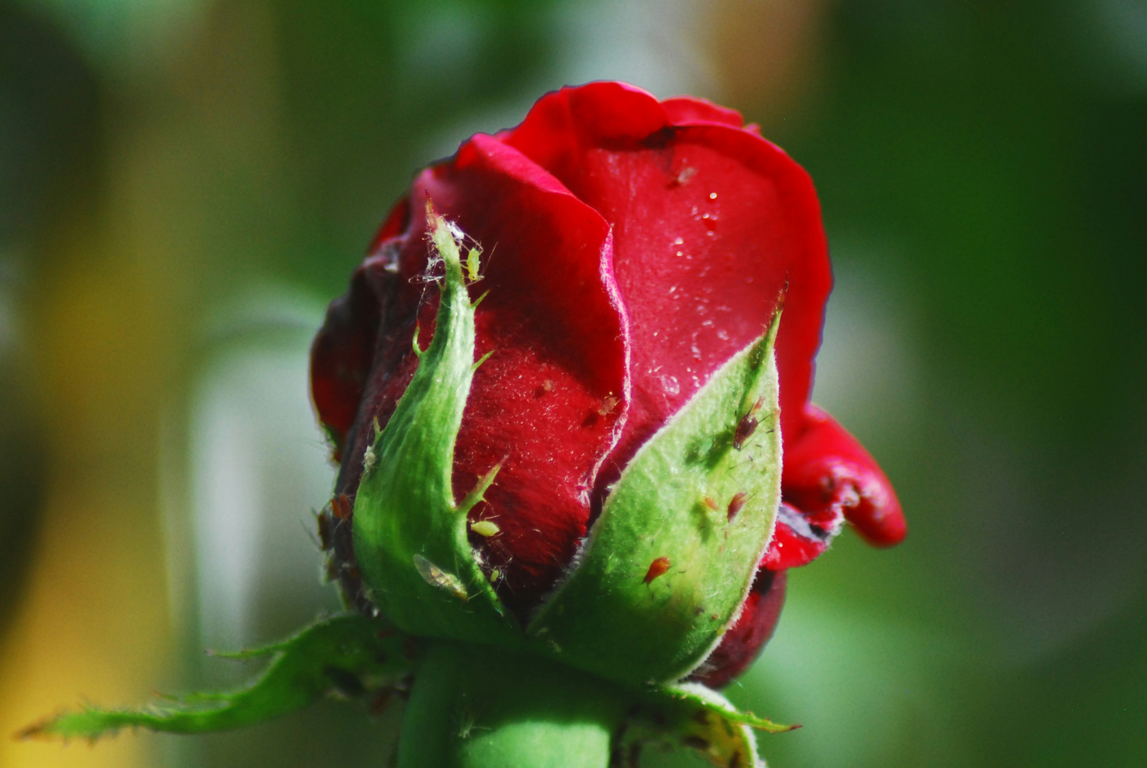 Photo by origamiaround