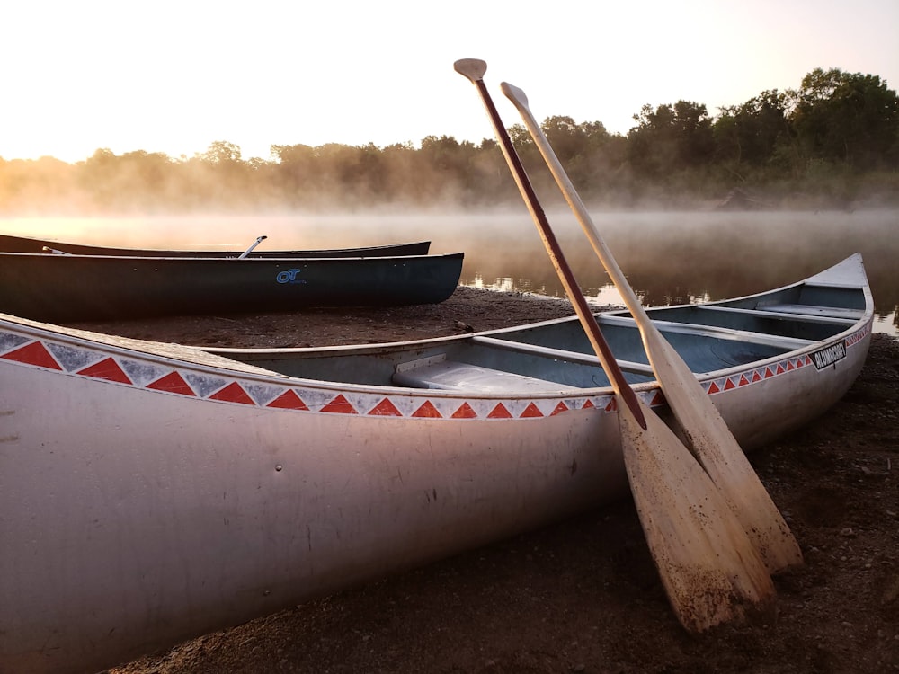 white and red boat on brown sand during daytime