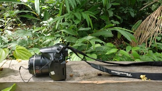 A digital camera lies on a weathered wooden bench surrounded by lush green foliage, suggesting a natural or jungle setting. The strap of the camera extends across the bench.