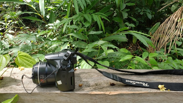 A digital camera lies on a weathered wooden bench surrounded by lush green foliage, suggesting a natural or jungle setting. The strap of the camera extends across the bench.