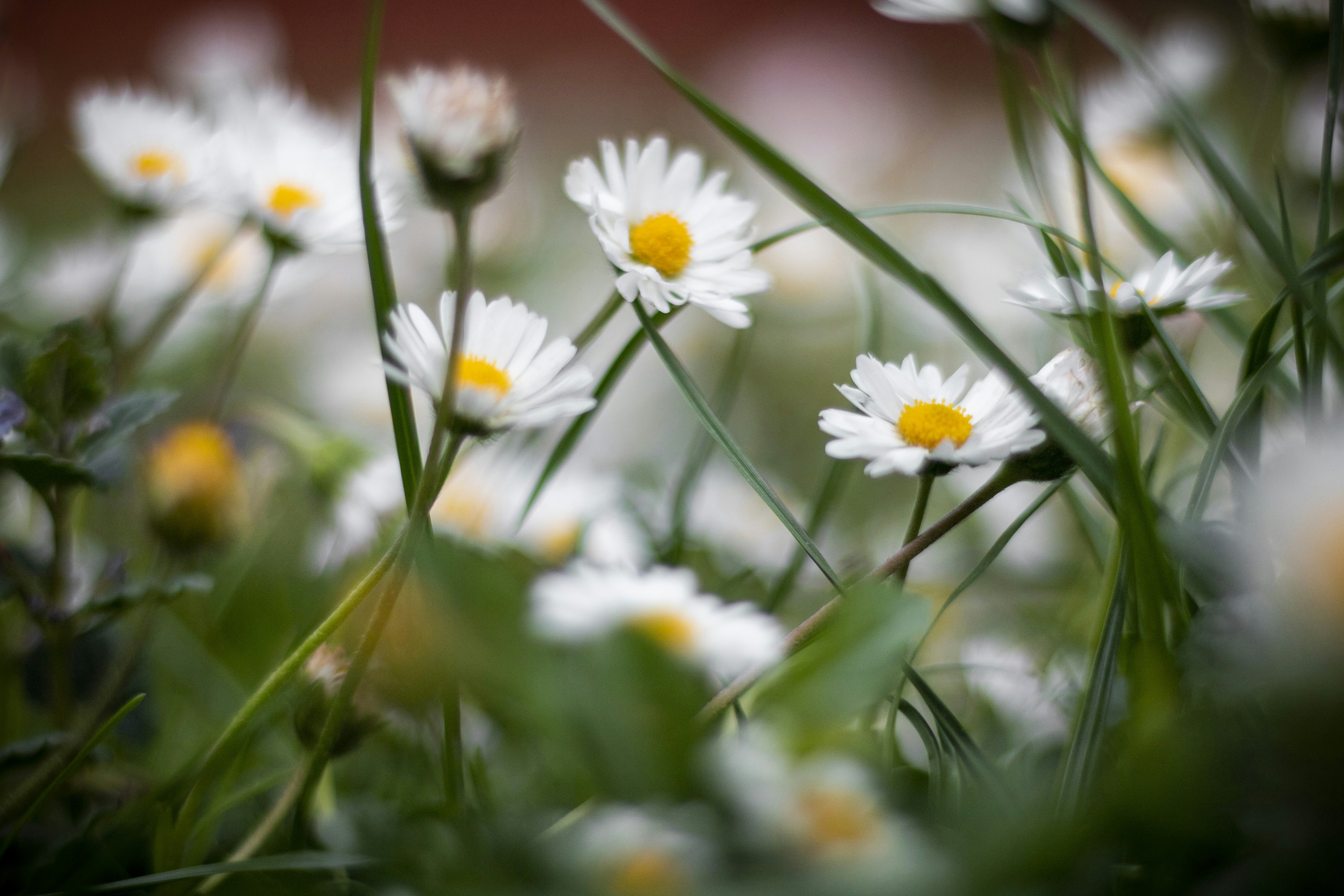 Photo by ovidiugruescu