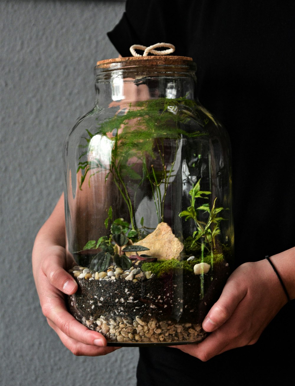 green plant in clear glass jar