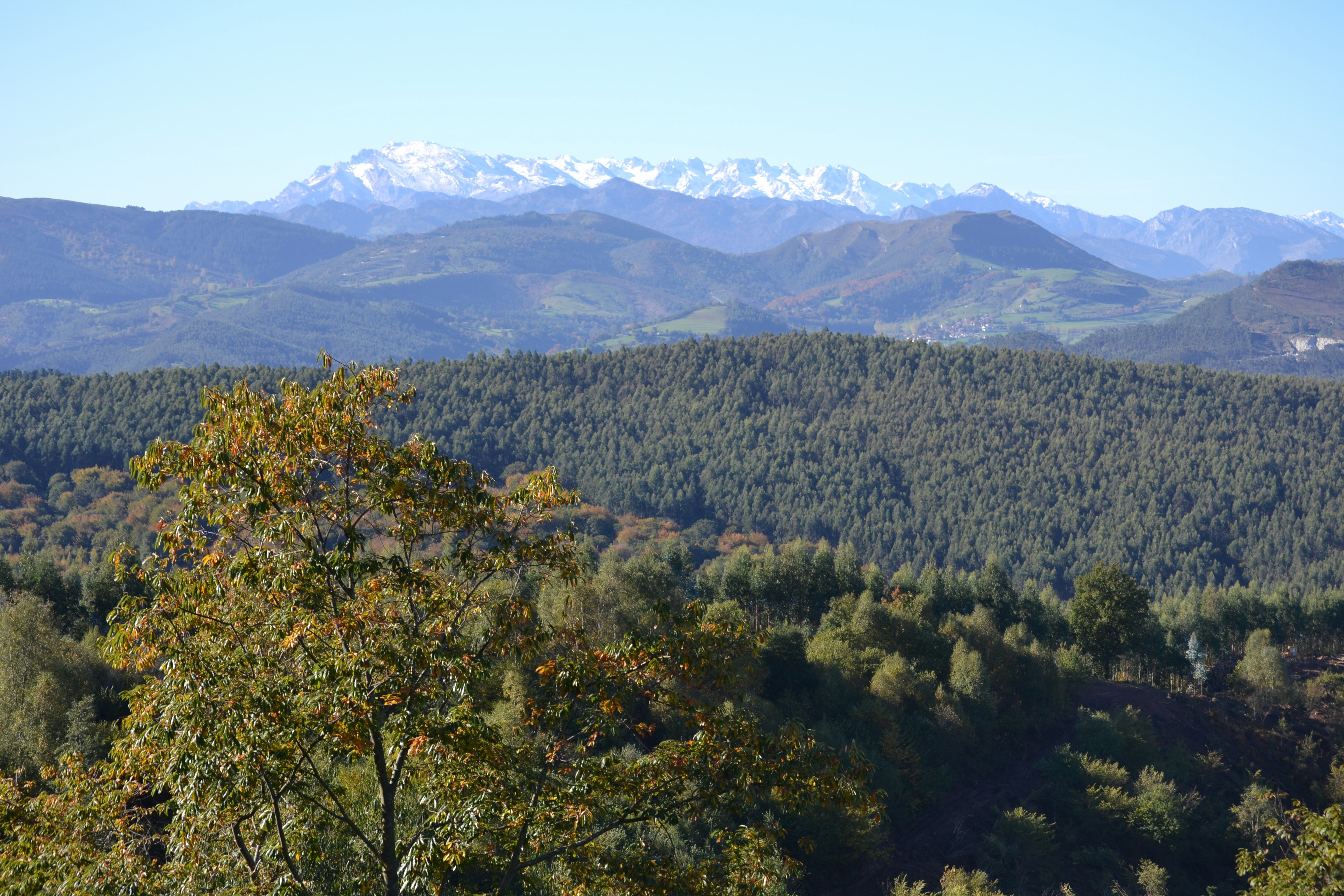 Photo by cantabriacalling