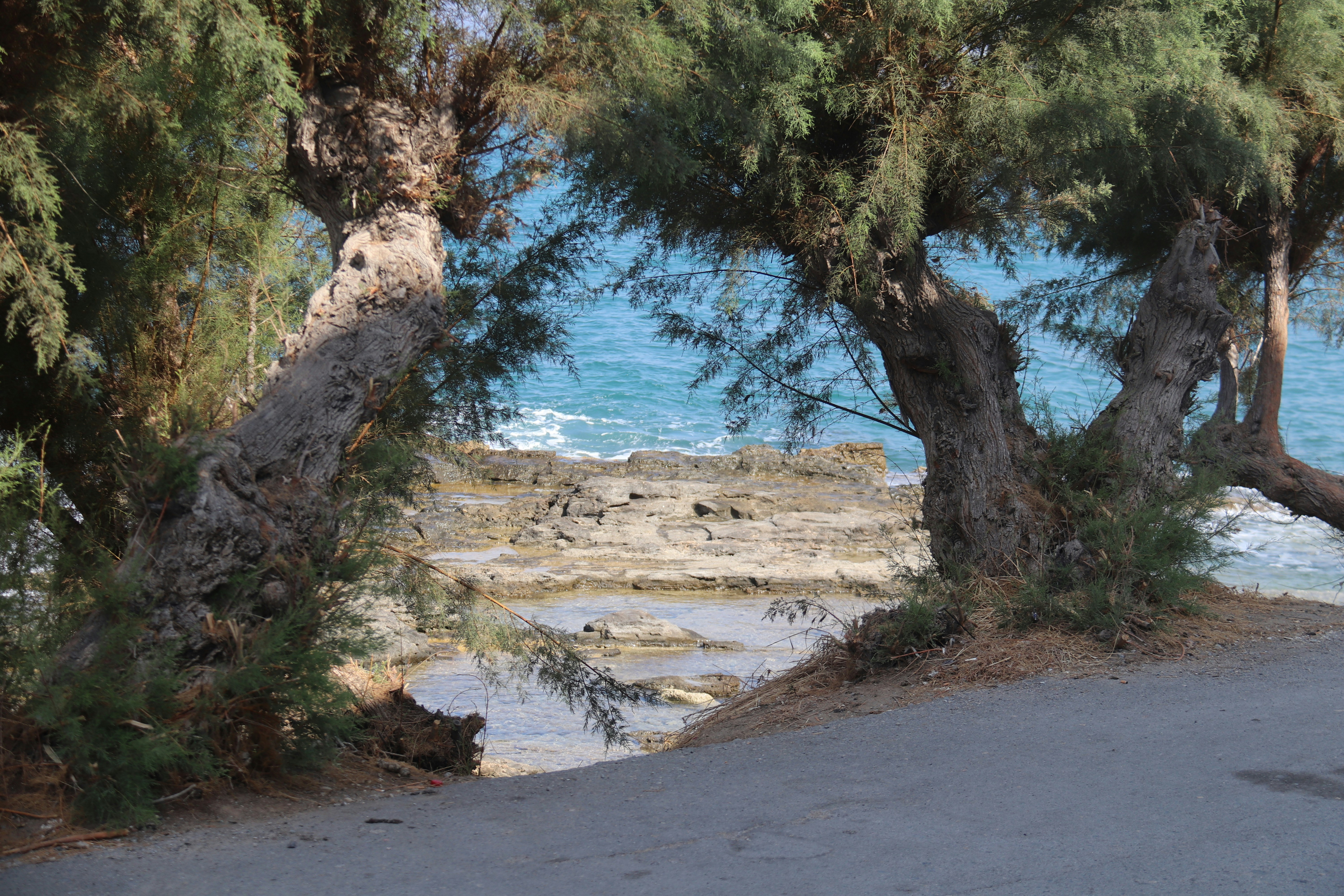 Photo by shalevcohen