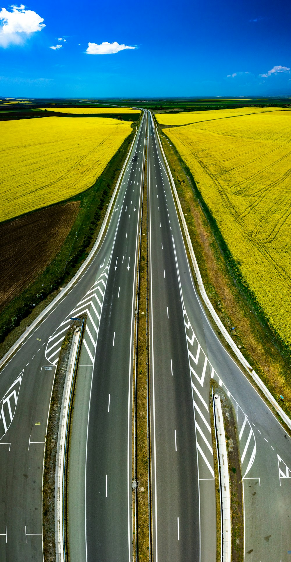 gray asphalt road between green grass field during daytime