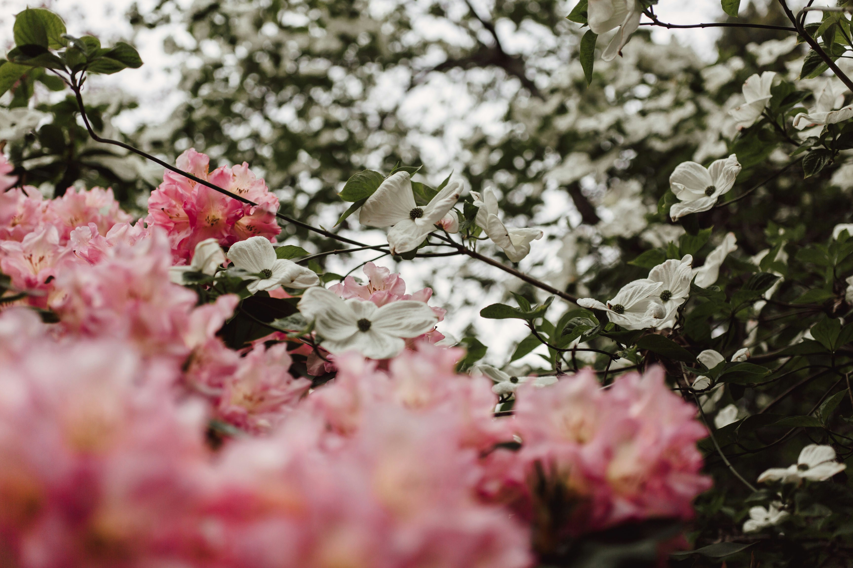 Photo by natureuninterrupted1