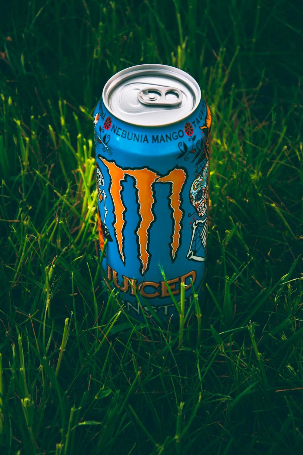 blue and yellow can on green grass