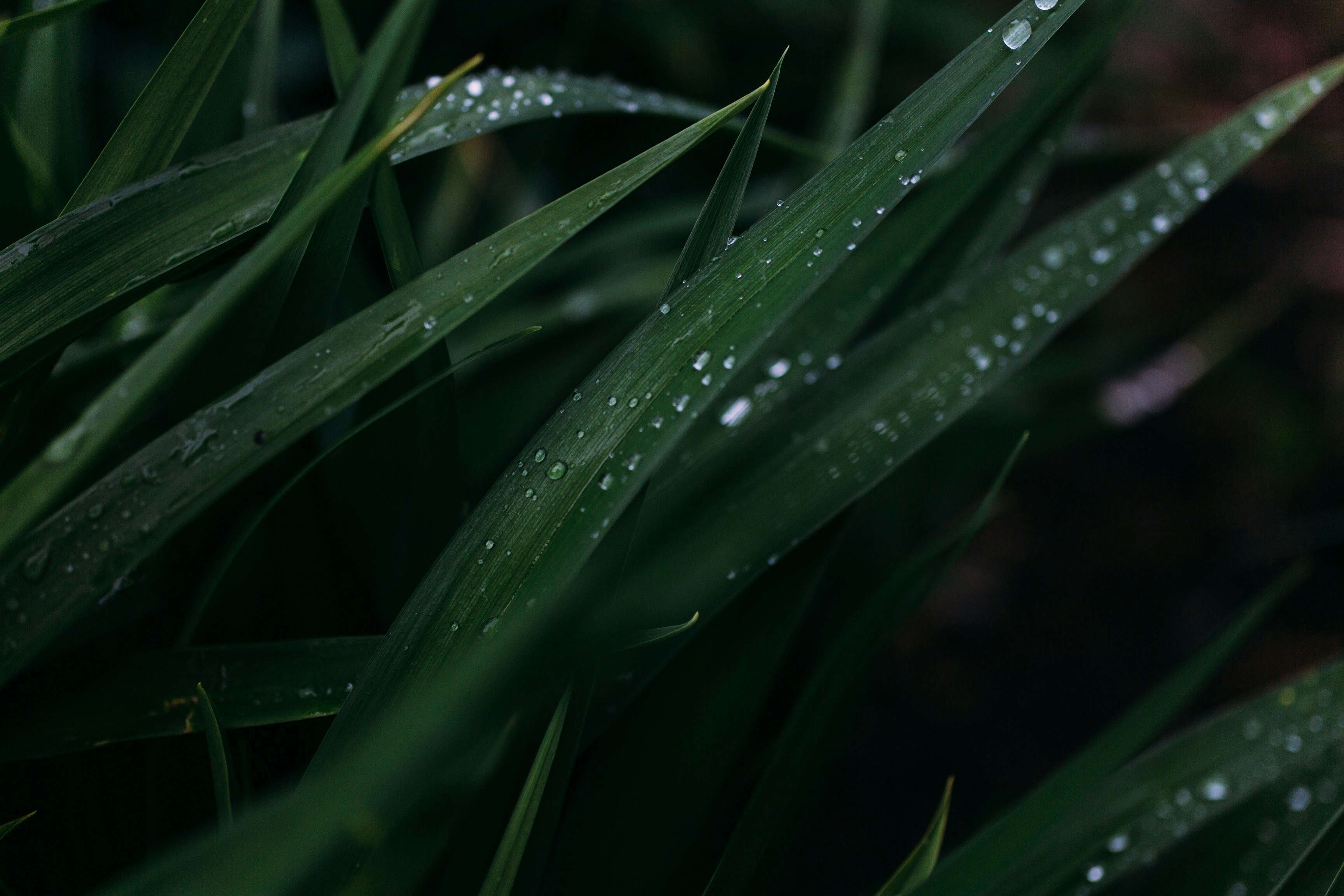 Photo by natureuninterrupted1