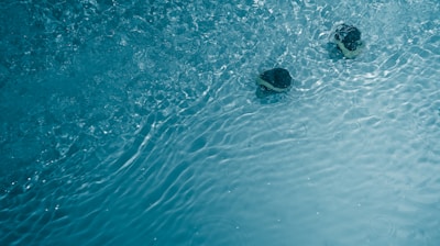 two earbuds floating in water