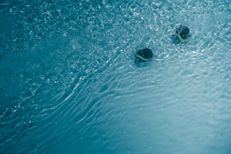 two earbuds floating in water