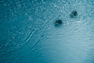 two earbuds floating in water