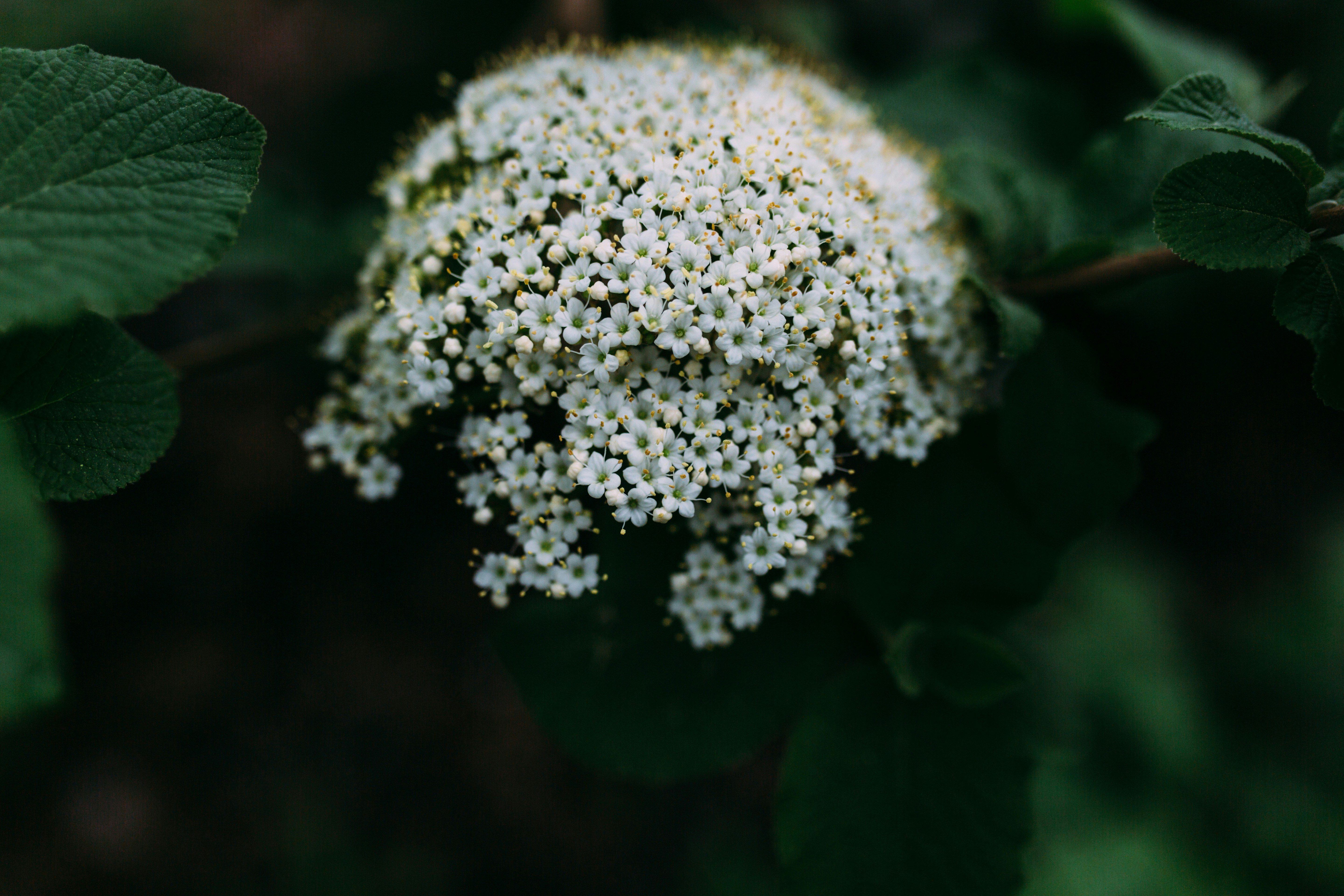 Photo by natureuninterrupted1