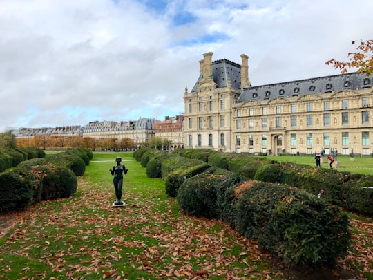 person in black jacket standing on green grass field near white concrete building during daytime in Tuileries Garden France