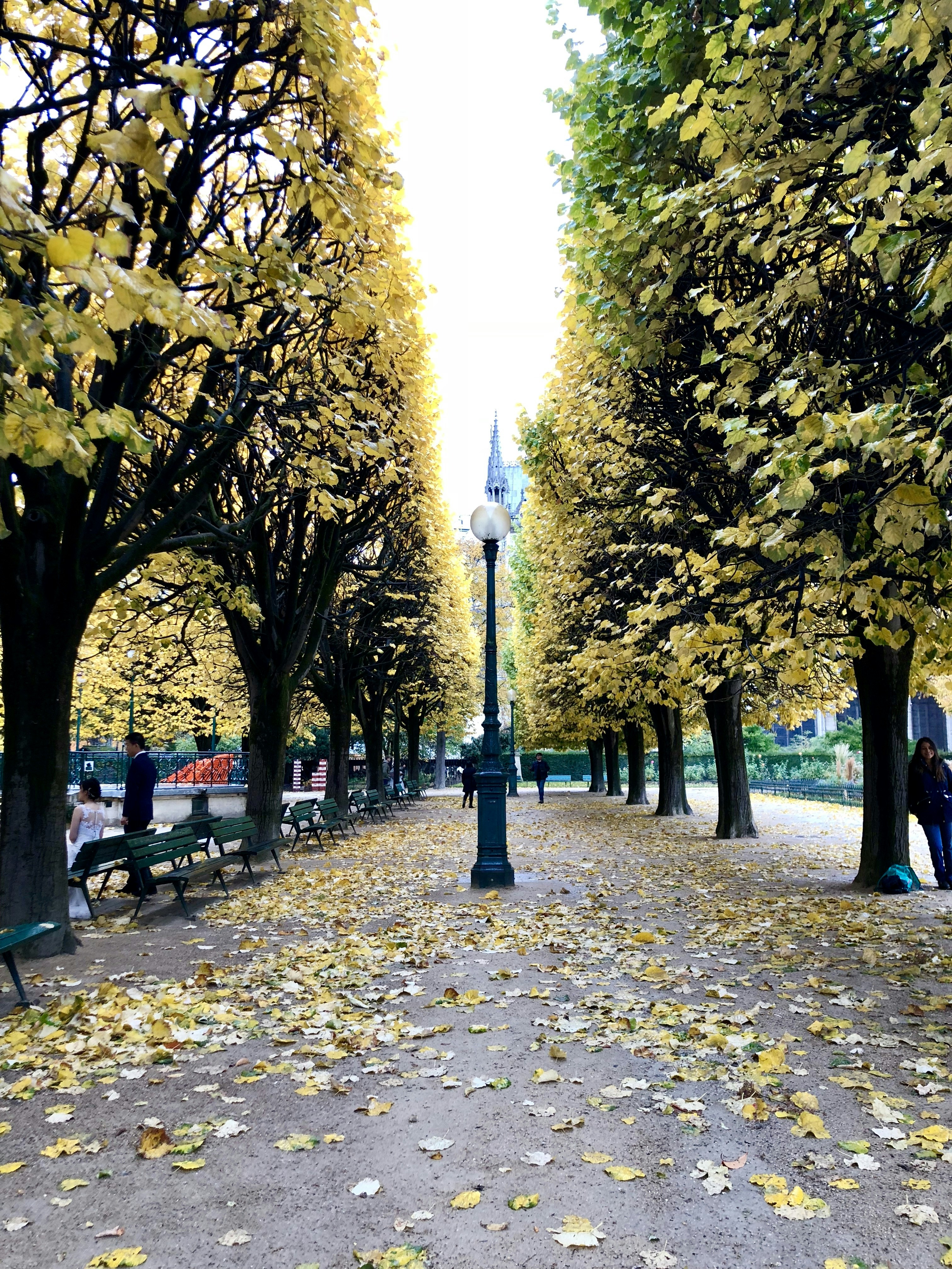 Photo by sarahdonisi