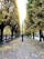 people walking on park with trees during daytime