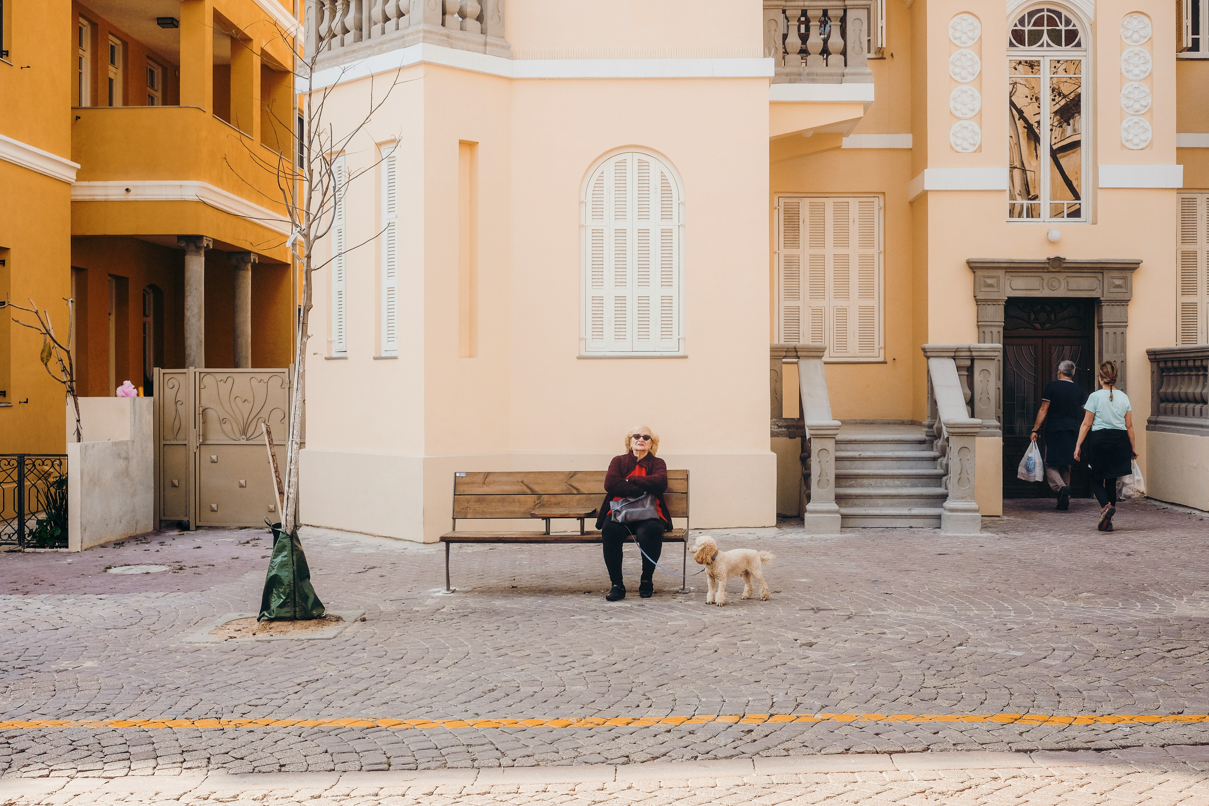 man in blue jacket sitting on bench beside white dog during daytime
