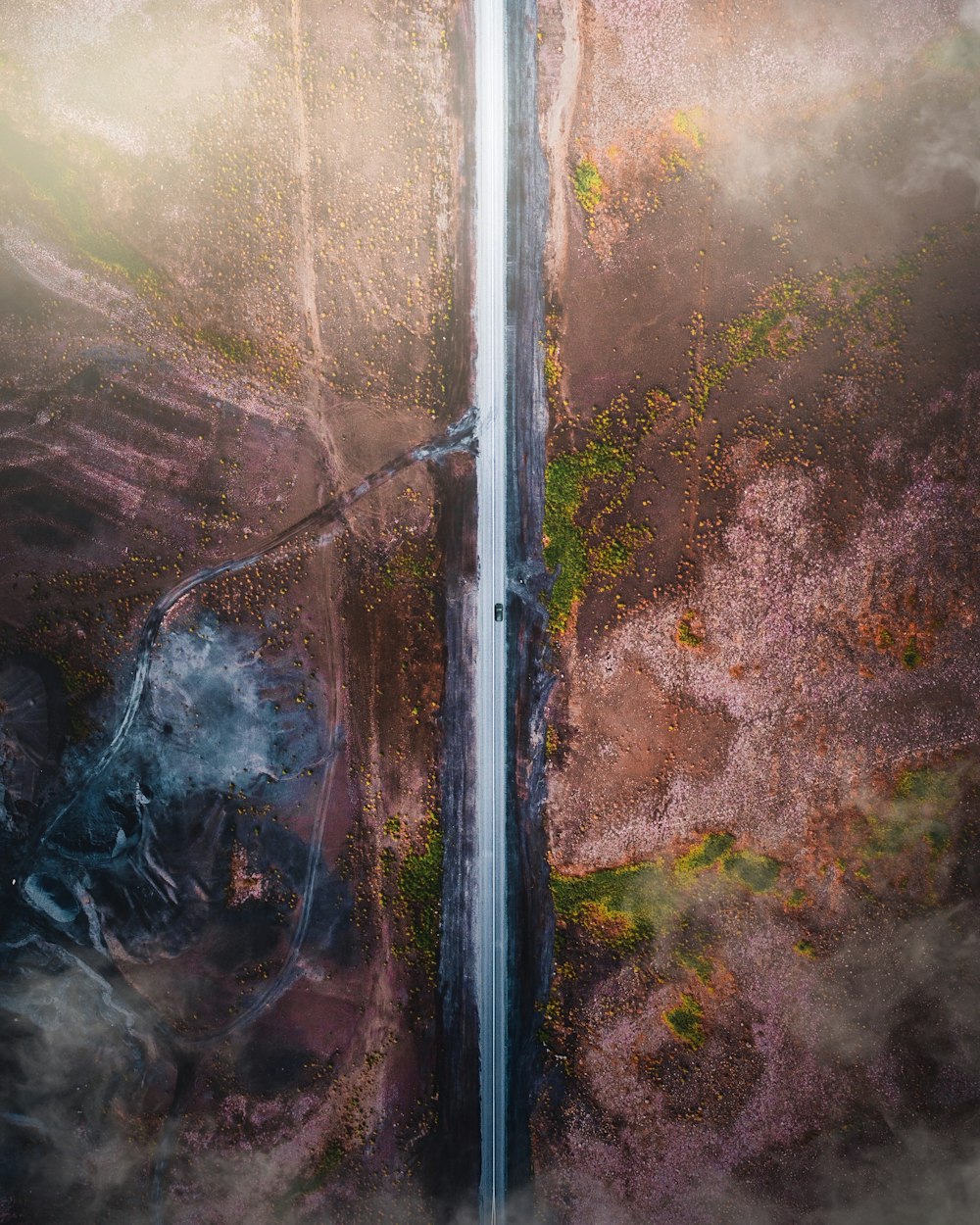 aerial view of forest during daytime