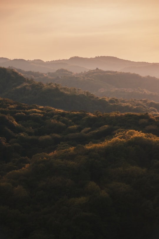 green trees on mountain during daytime in Samobor Croatia