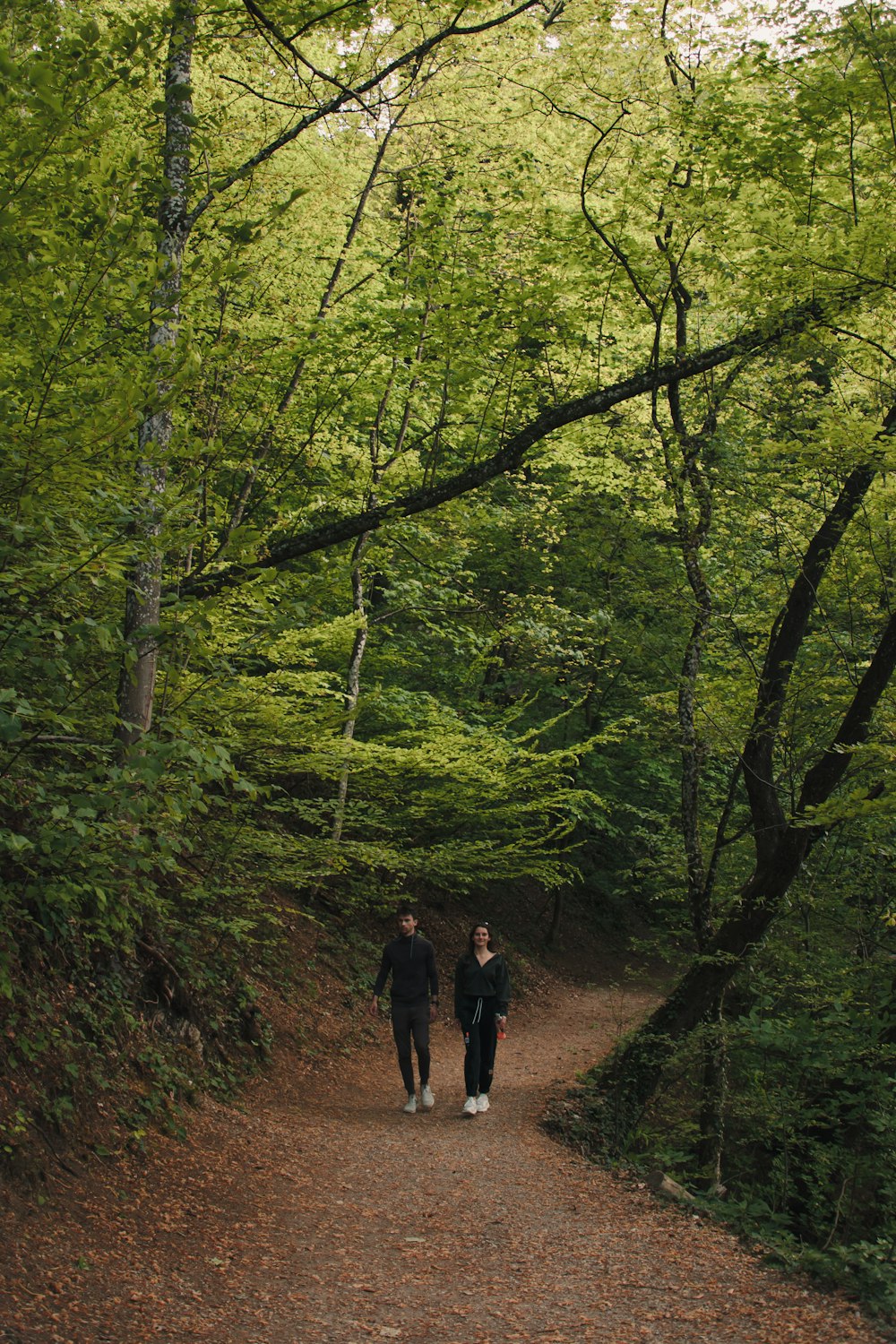 2 persone che camminano su un sentiero tra alberi verdi durante il giorno