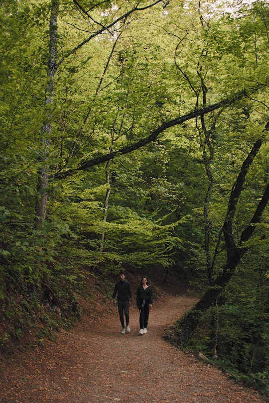 2 people walking on pathway in between green trees during daytime in Samobor Croatia