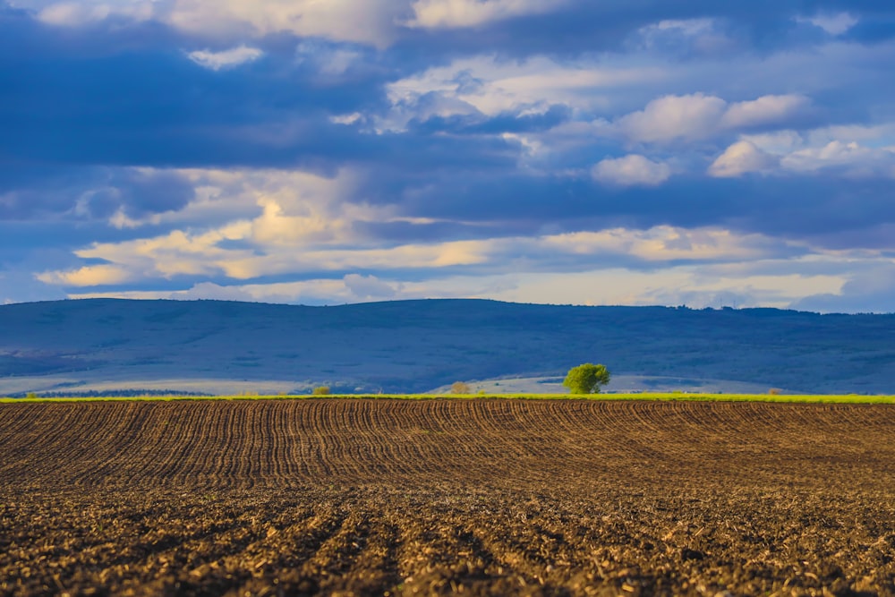 brown field under white clouds and blue sky during daytime