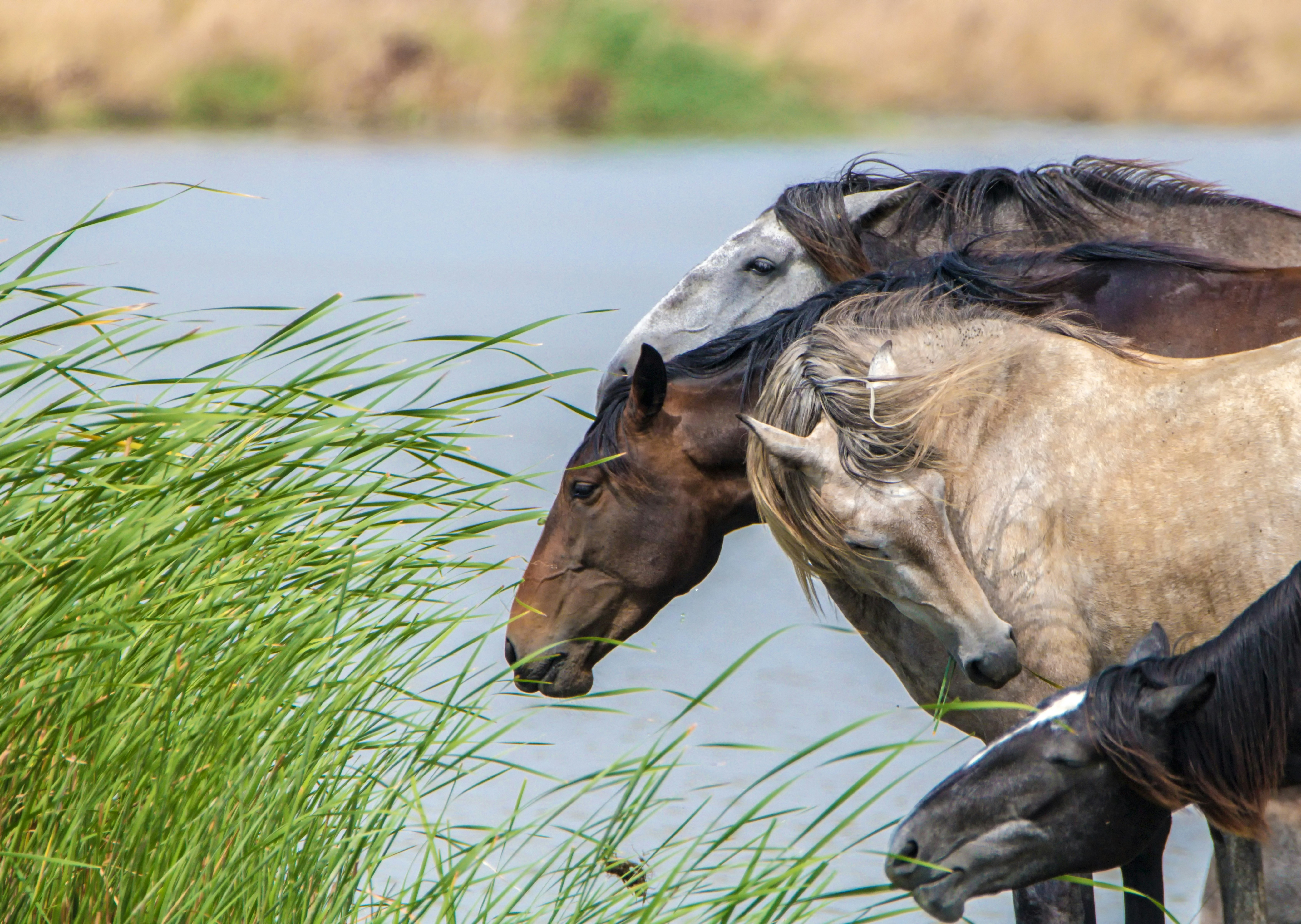 Photo by photopaulomarques