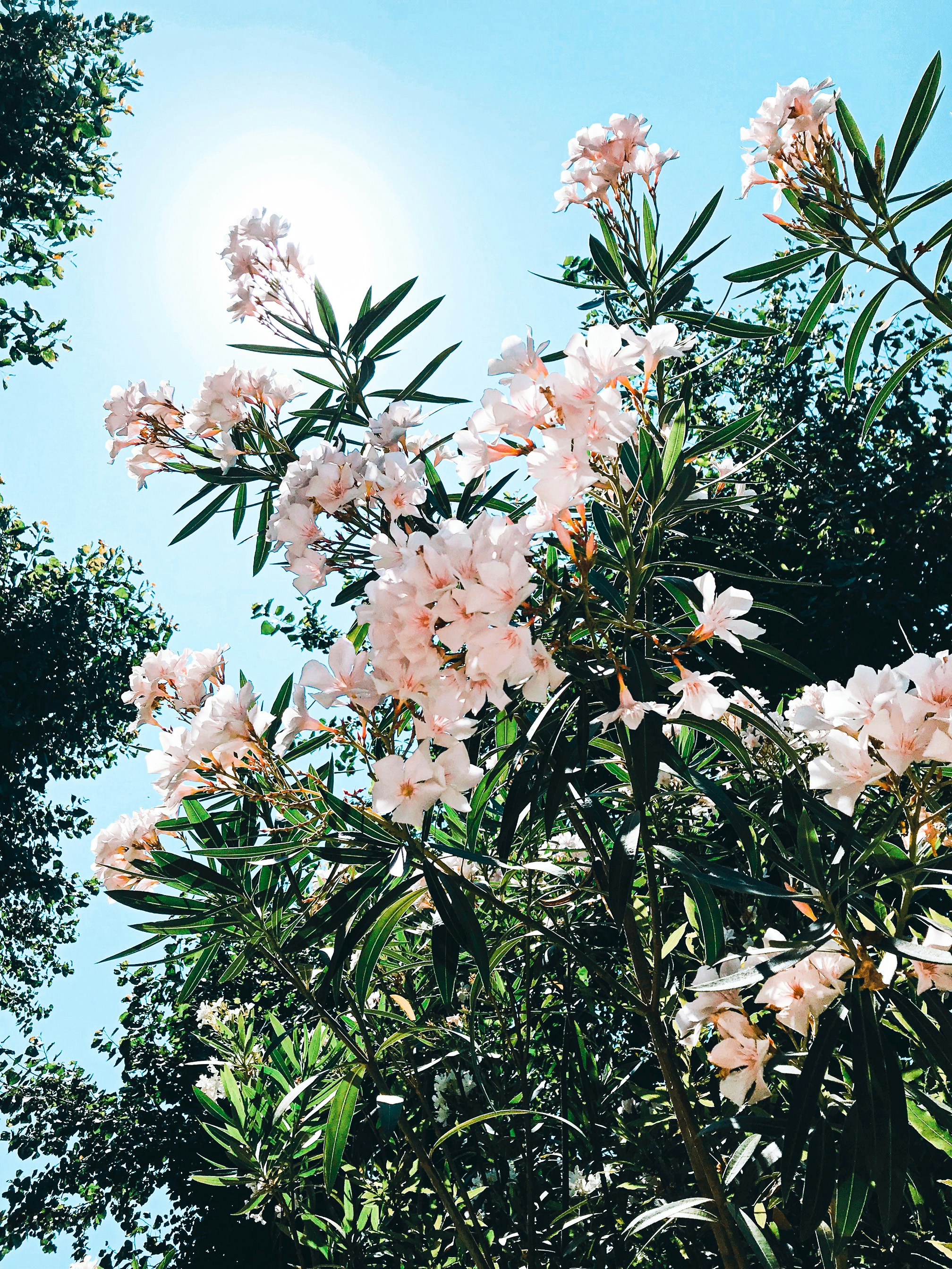 Photo by francescamariadp