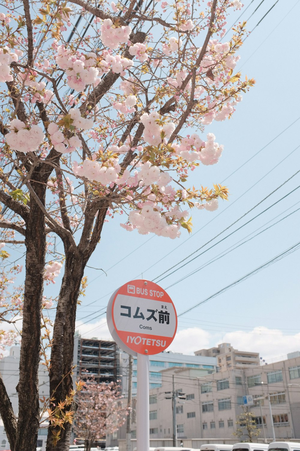 red and white stop sign