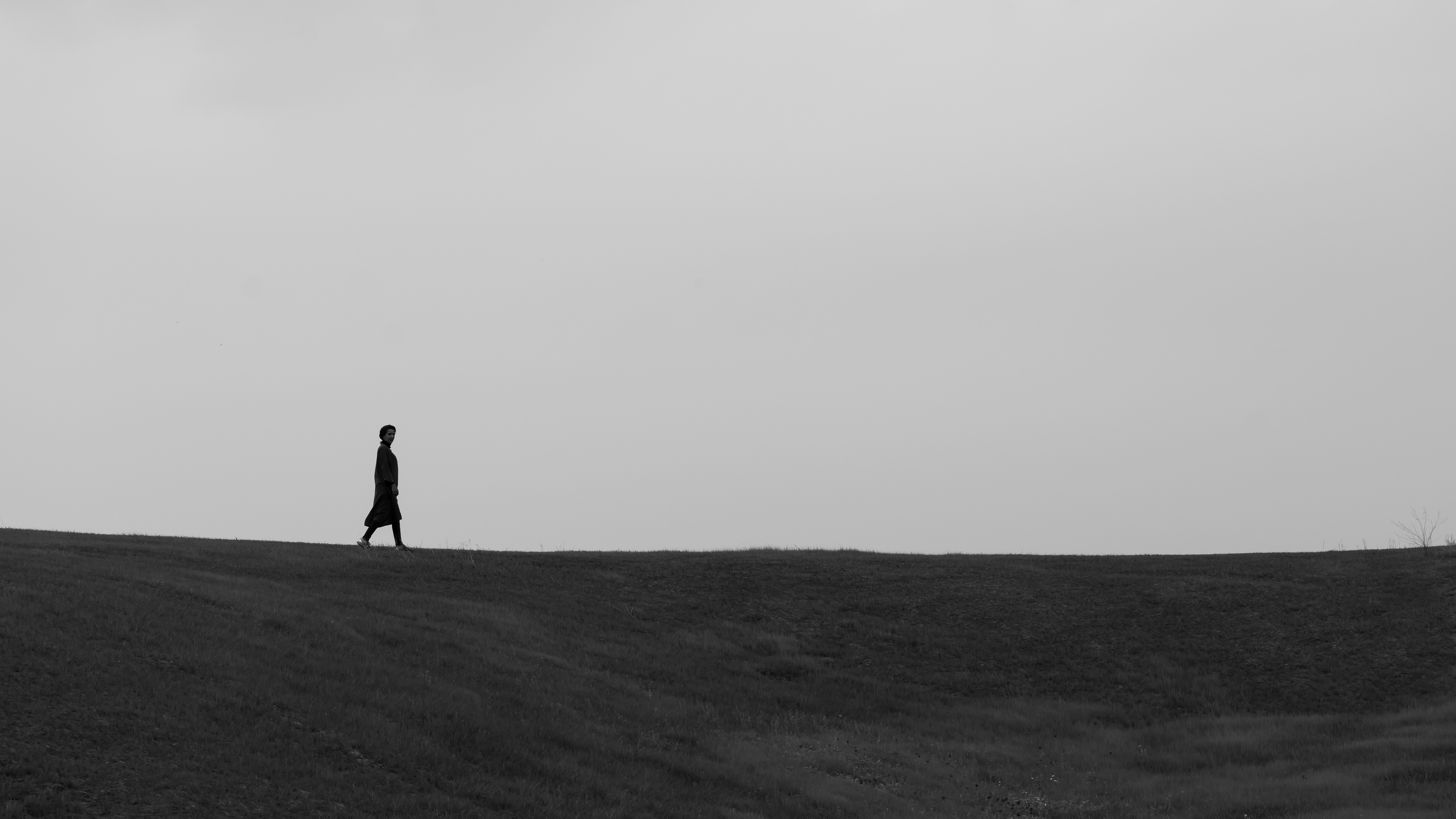 Photo by kayvanmazhar