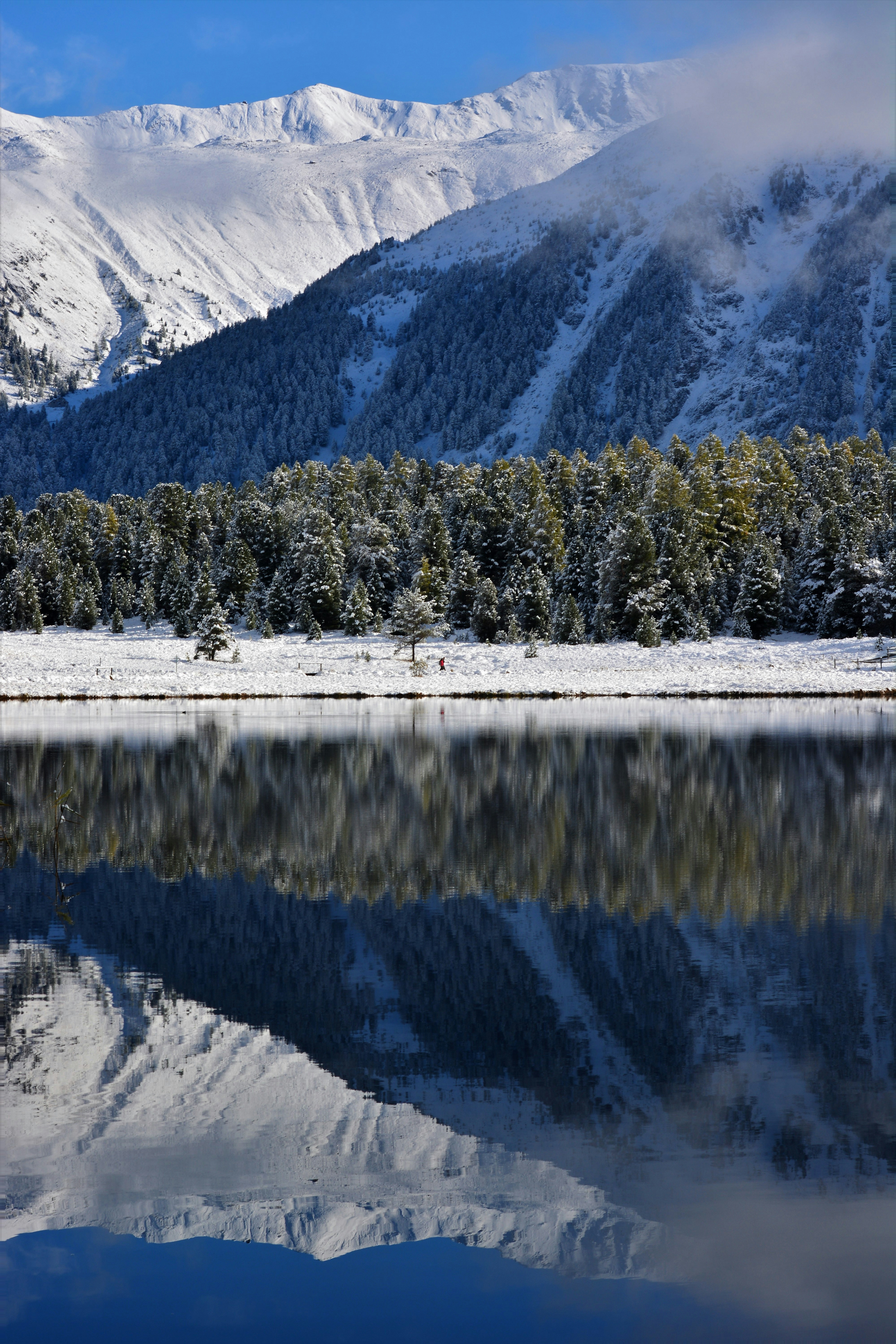 Photo by pedrino5_official