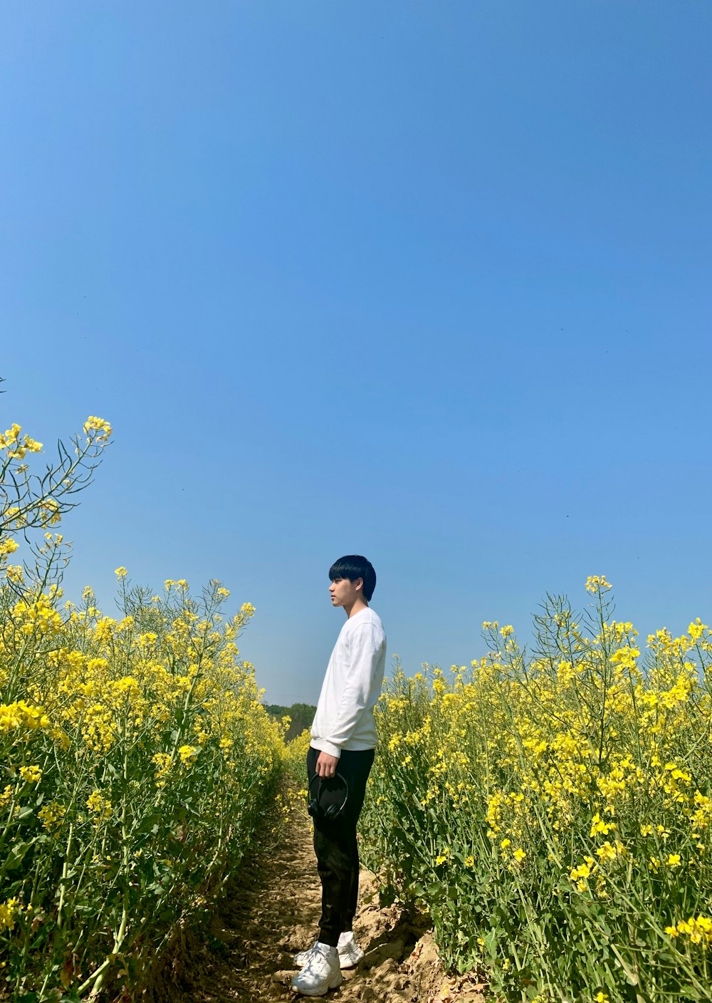 uomo in camicia bianca e pantaloni neri in piedi sul campo di fiori gialli durante il giorno