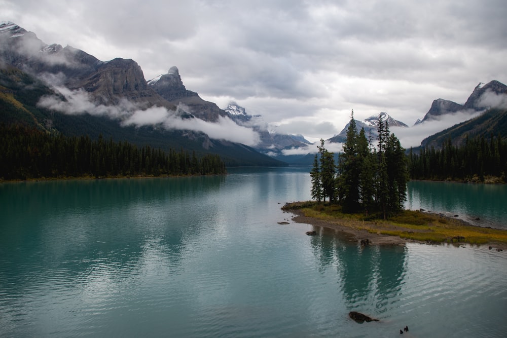 pinos verdes cerca del lago y la cordillera