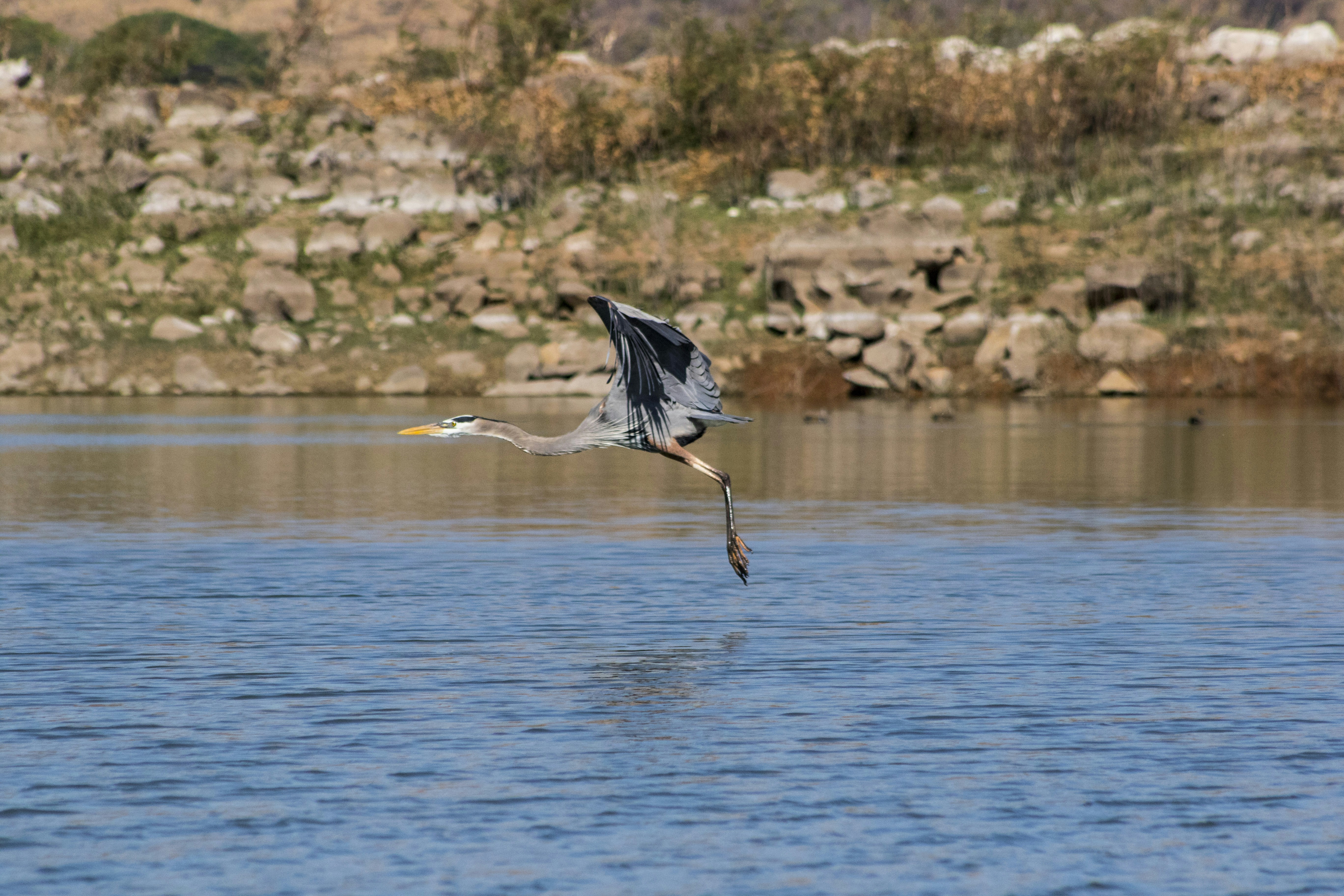 Photo by robincanfield