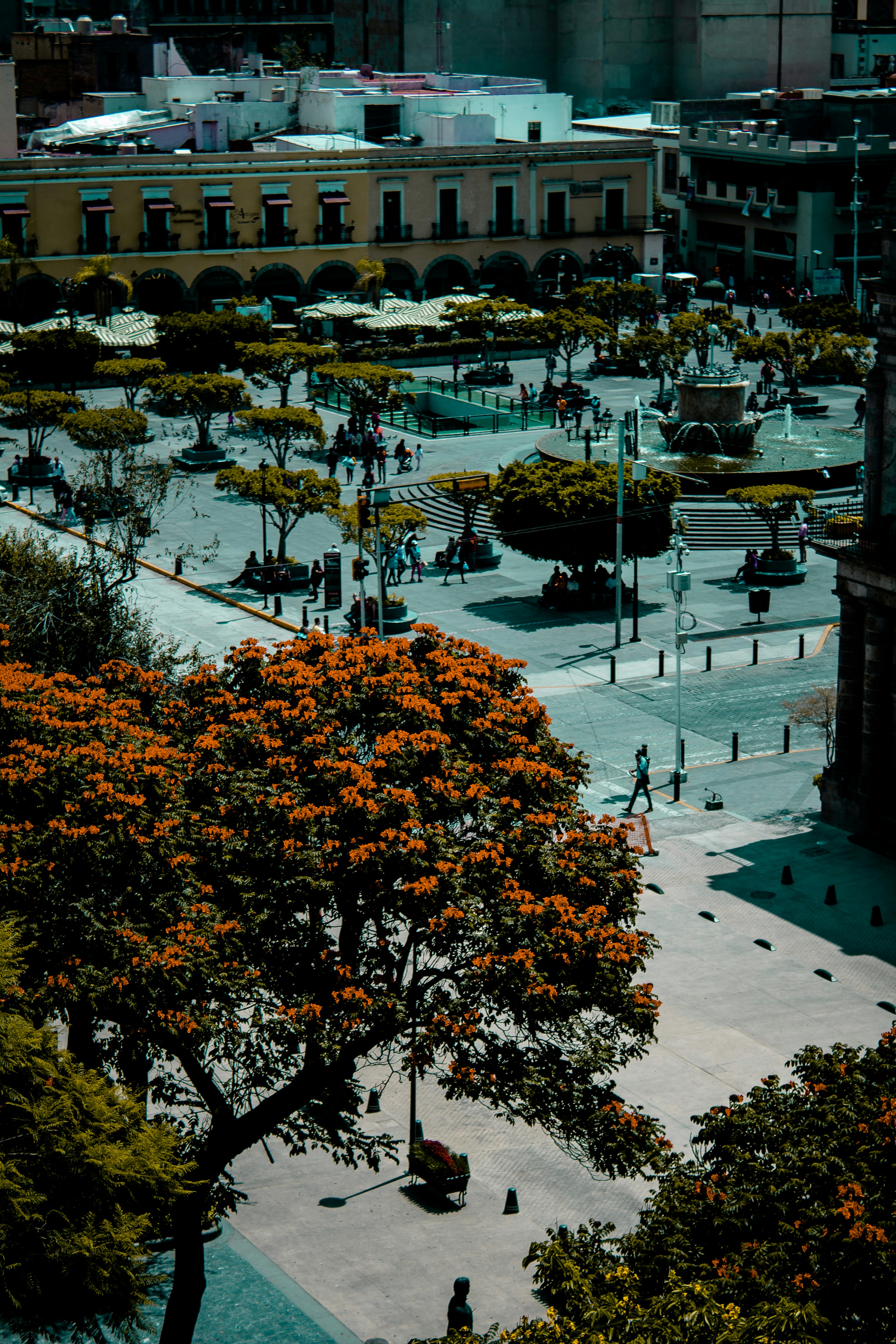 Guadalajara – Transportation & Getting Around
