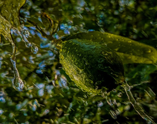 A lime is captured in motion, submerged in water, with splashes and droplets surrounding it. The lighting creates vivid reflections and textures on the lime's surface, while the background features a soft focus with shades of green and blue.