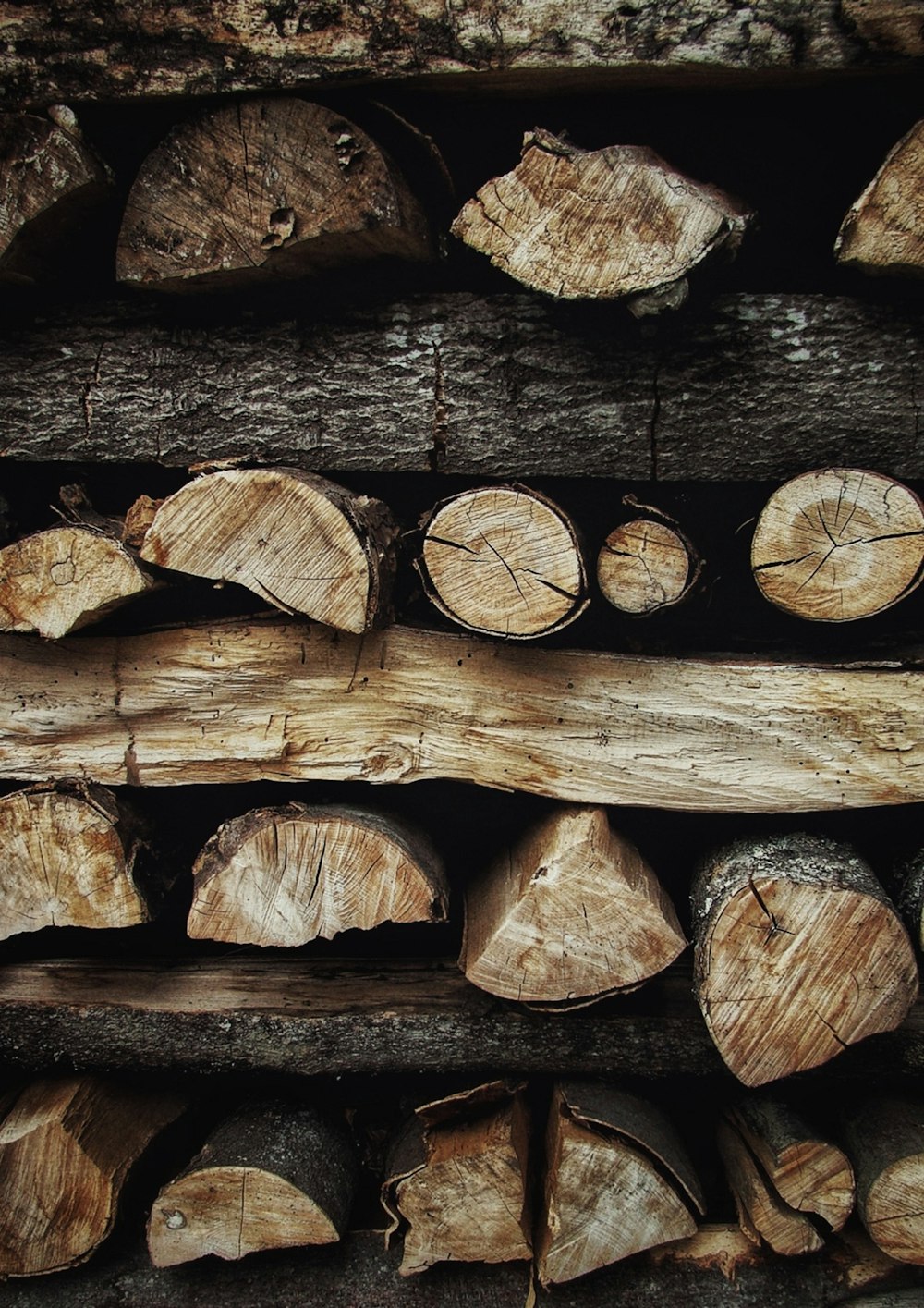 brown and black wood log