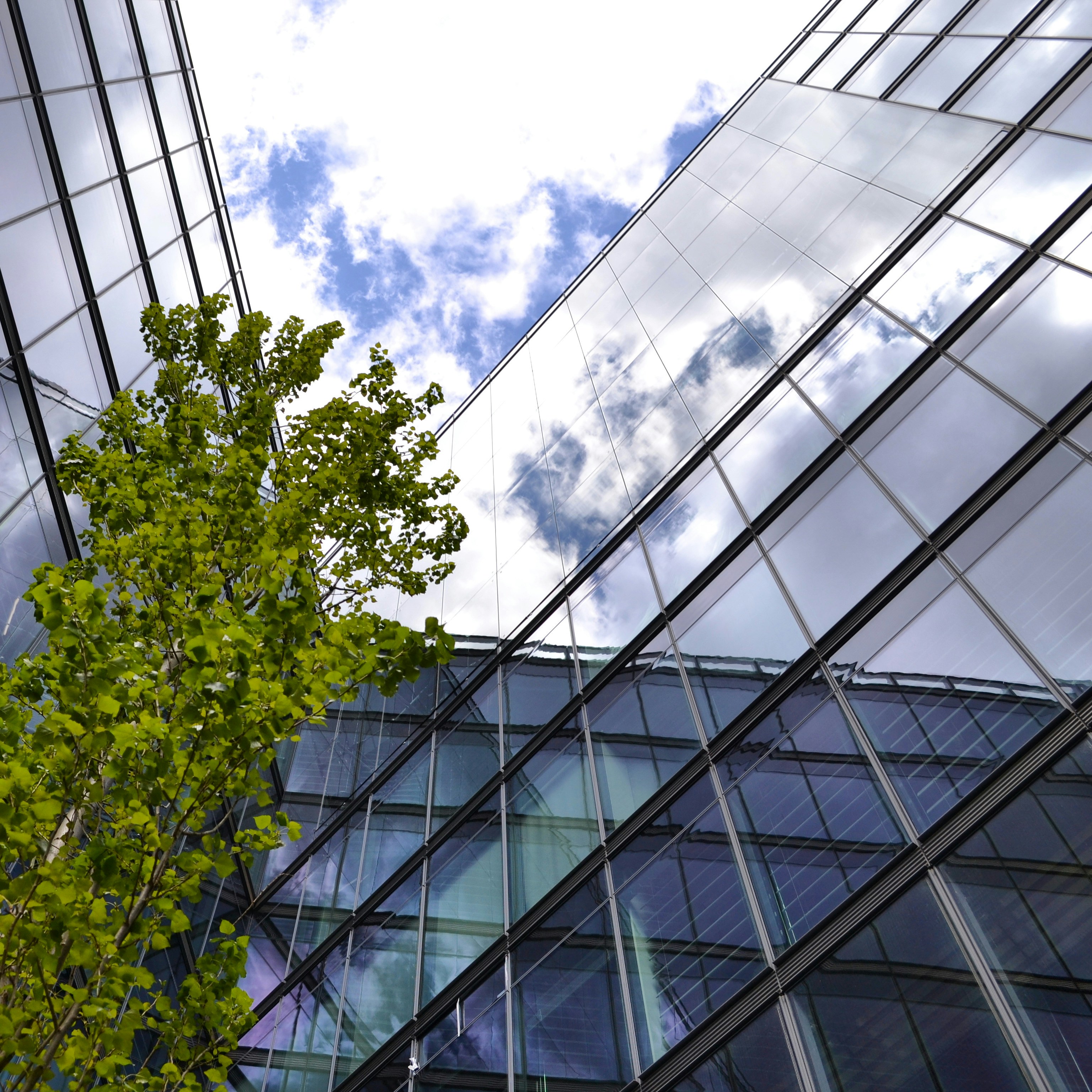 Photo by murattissimo